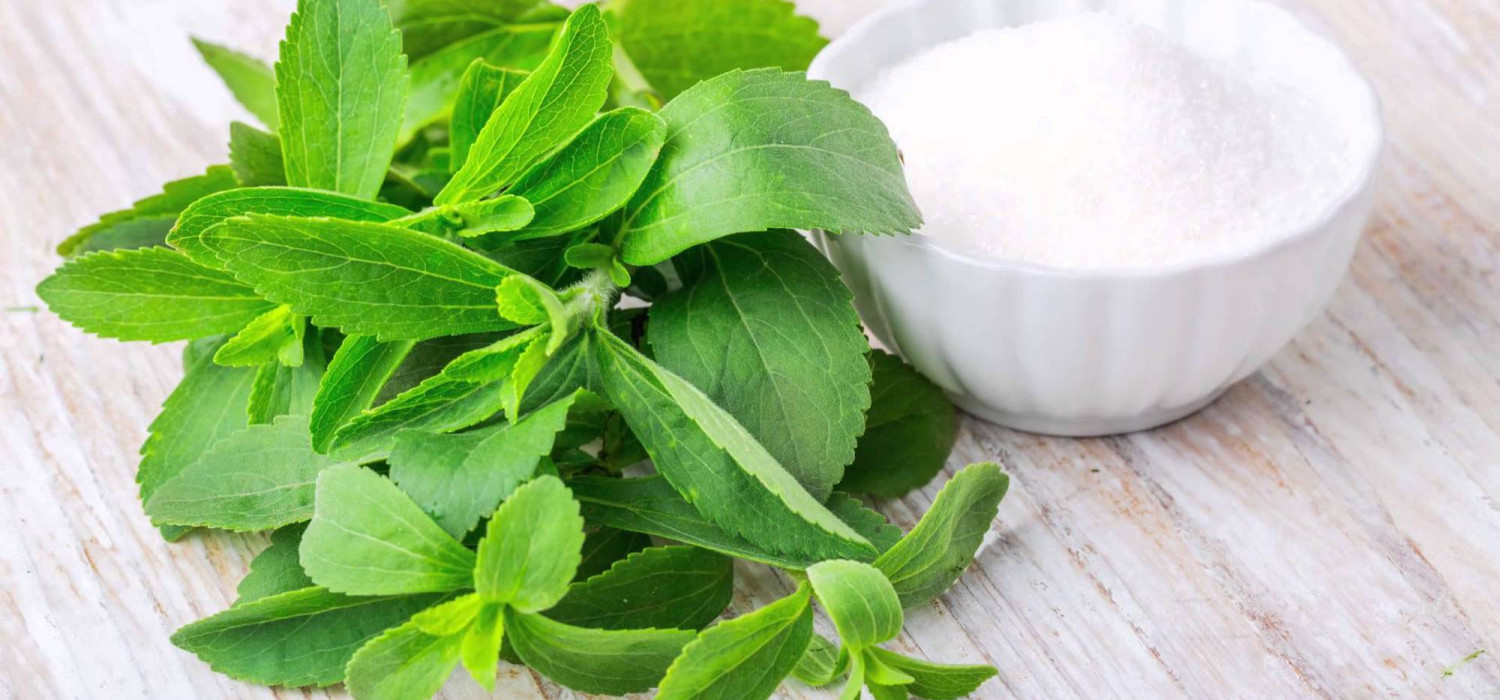 Stevia sebagai Suplemen Harian: Aman, Efektif, dan Cocok untuk Semua Orang