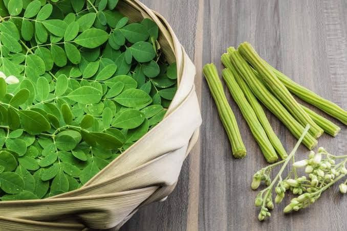 Daun Kelor sebagai Suplemen: Kenapa Superfood Ini Layak Masuk Rutinitas Harianmu